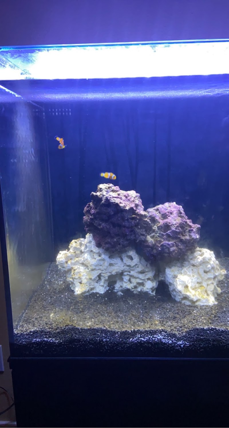 Salty Aquatics & Fish - Photo 5