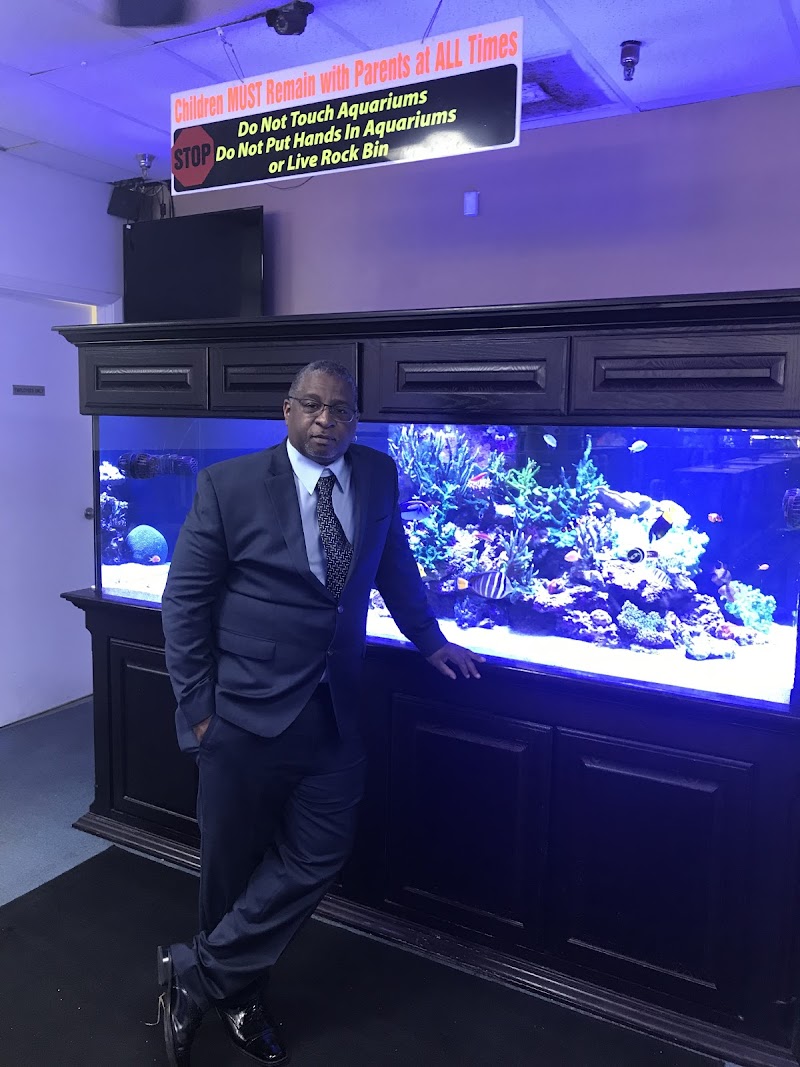 Frank's Tanks - Photo 2