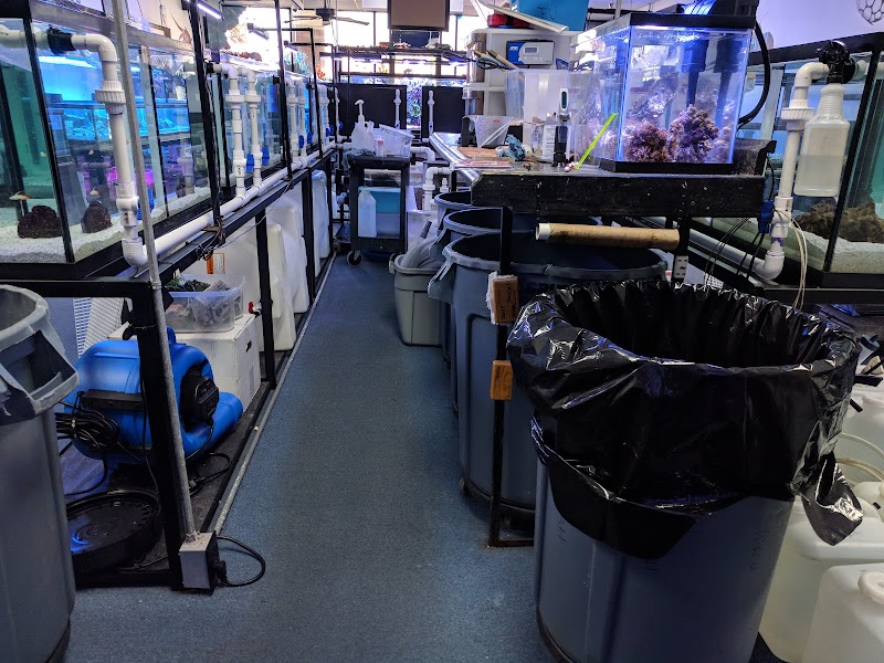 Frank's Tanks - Photo 4