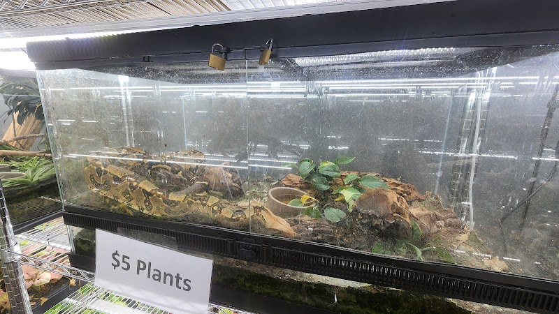 Aquaterratopia - Photo 1