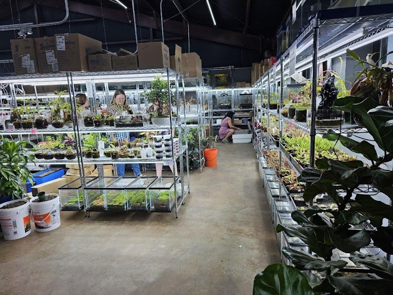 Aquaterratopia - Photo 2