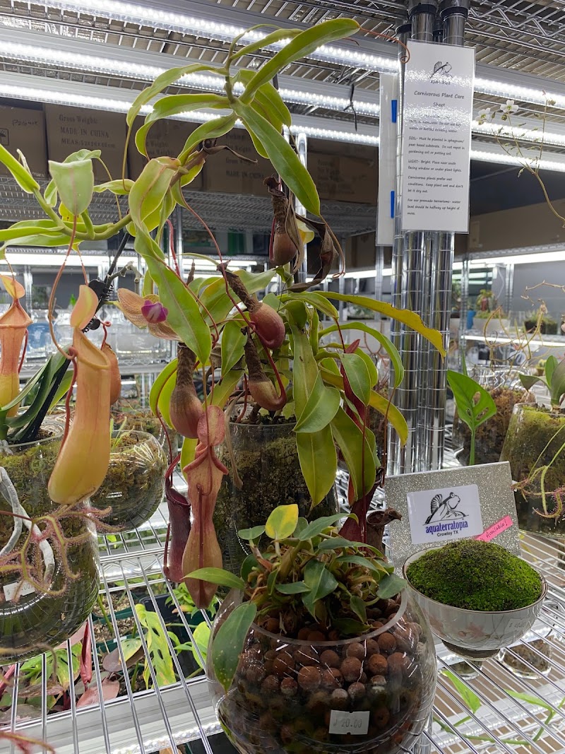 Aquaterratopia - Photo 3