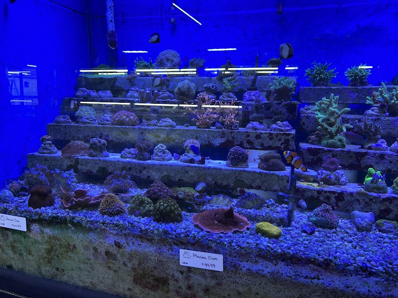 Aquaterratopia - Photo 4