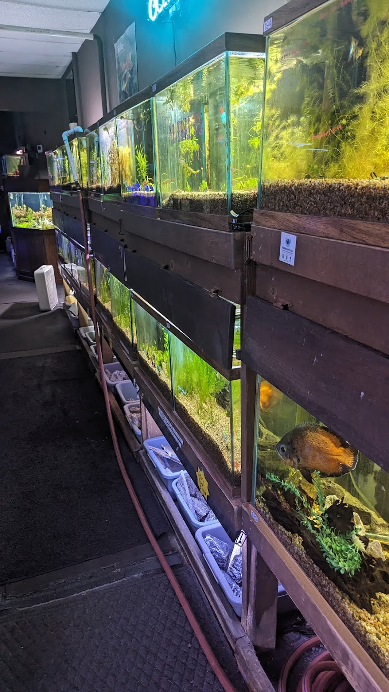 The Fish Place - Photo 3