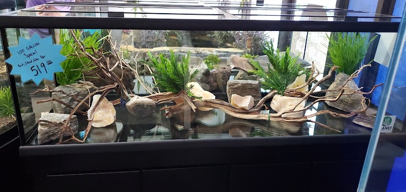 The Fish Place - Photo 4