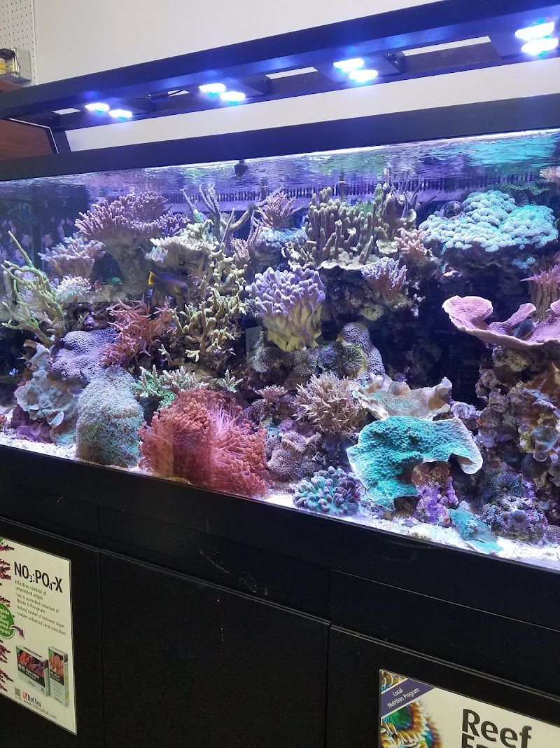 The Fish Place - Photo 5