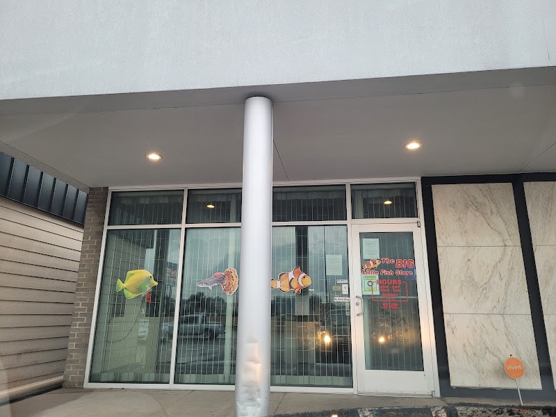 The Big Little Fish Store - Photo 1
