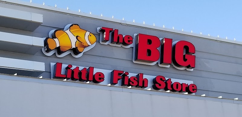 The Big Little Fish Store - Photo 2