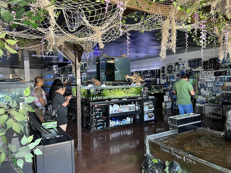 Your Pet Fish - Photo 2