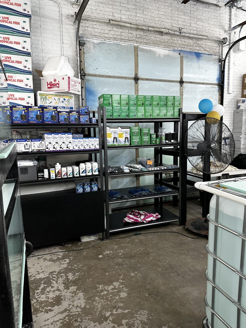 Beantown Aquatics - Photo 4