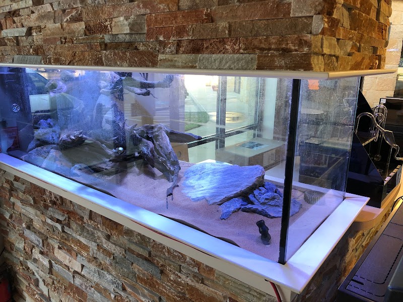 Rift 2 Reef Aquatics - Photo 3