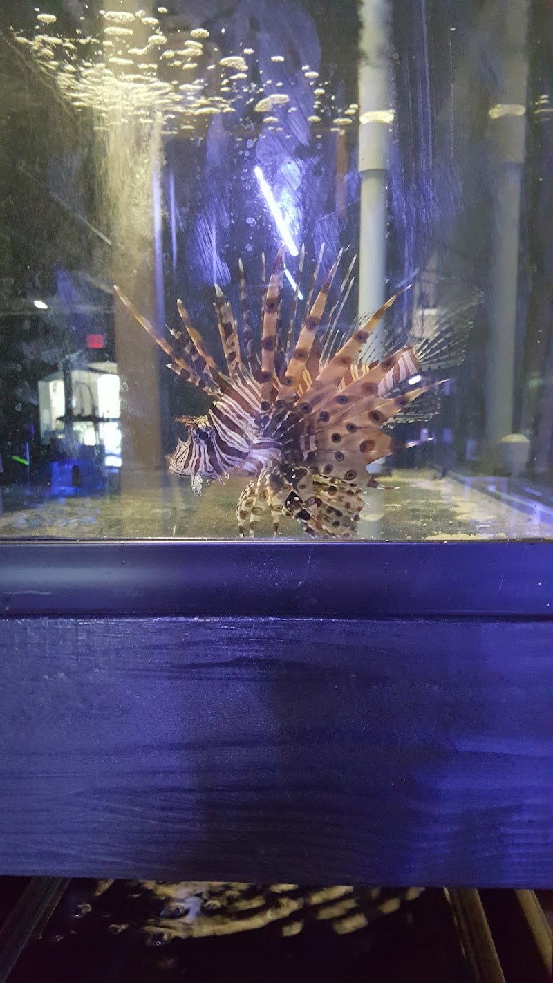 Rift 2 Reef Aquatics - Photo 5