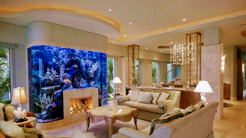 Aquarium Headquarters Maintenance, Service & Luxury Aquarium Installation Co. - Photo 1