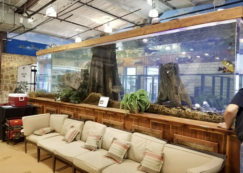 Aquarium Headquarters Maintenance, Service & Luxury Aquarium Installation Co. - Photo 2
