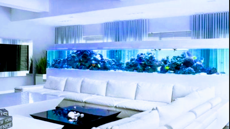Aquarium Headquarters Maintenance, Service & Luxury Aquarium Installation Co. - Photo 3