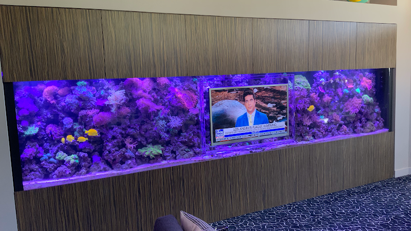 Aquarium Headquarters Maintenance, Service & Luxury Aquarium Installation Co. - Photo 4