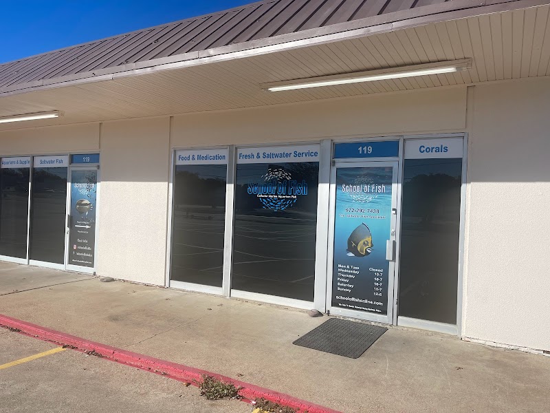 School Of Fish - Photo 1