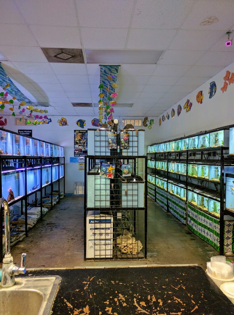 Pet Village - Photo 2