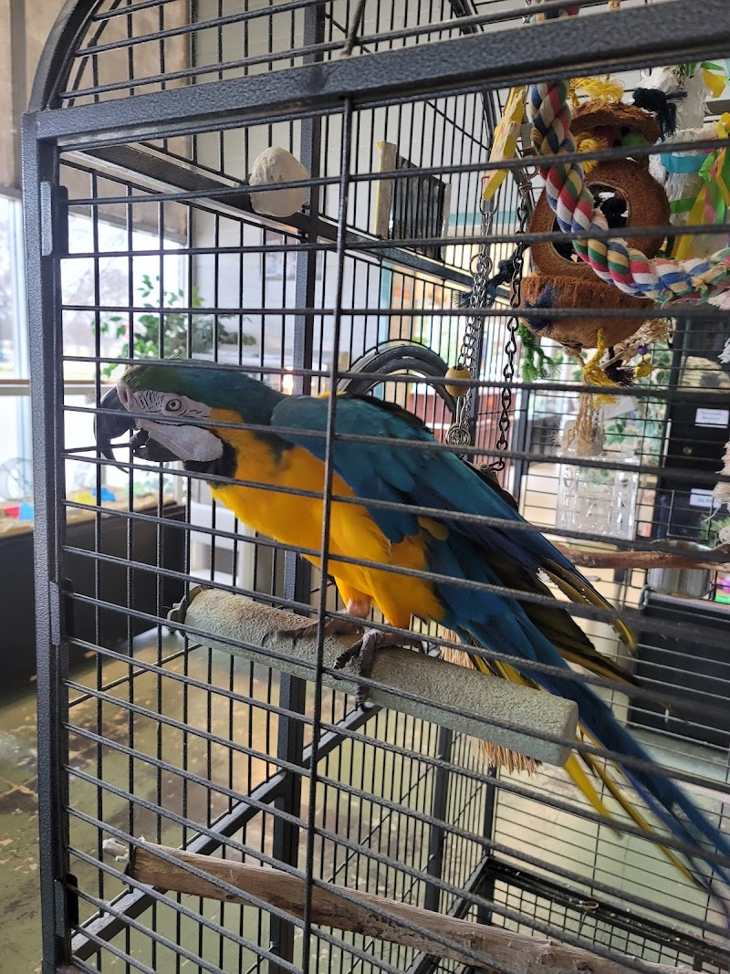 Pet Village - Photo 3