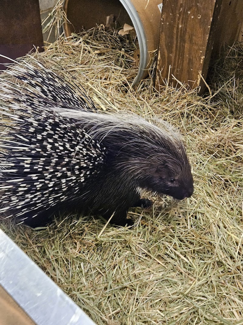 Jungle Reef - Photo 1