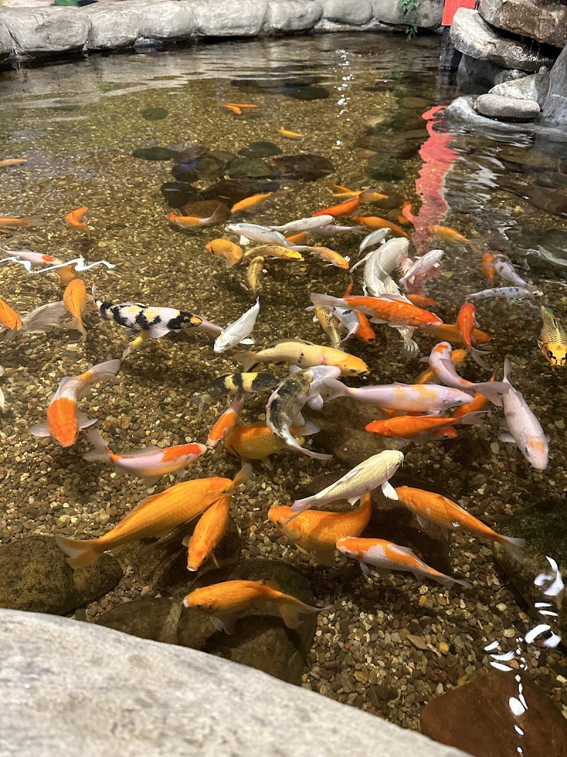 Jungle Reef - Photo 2