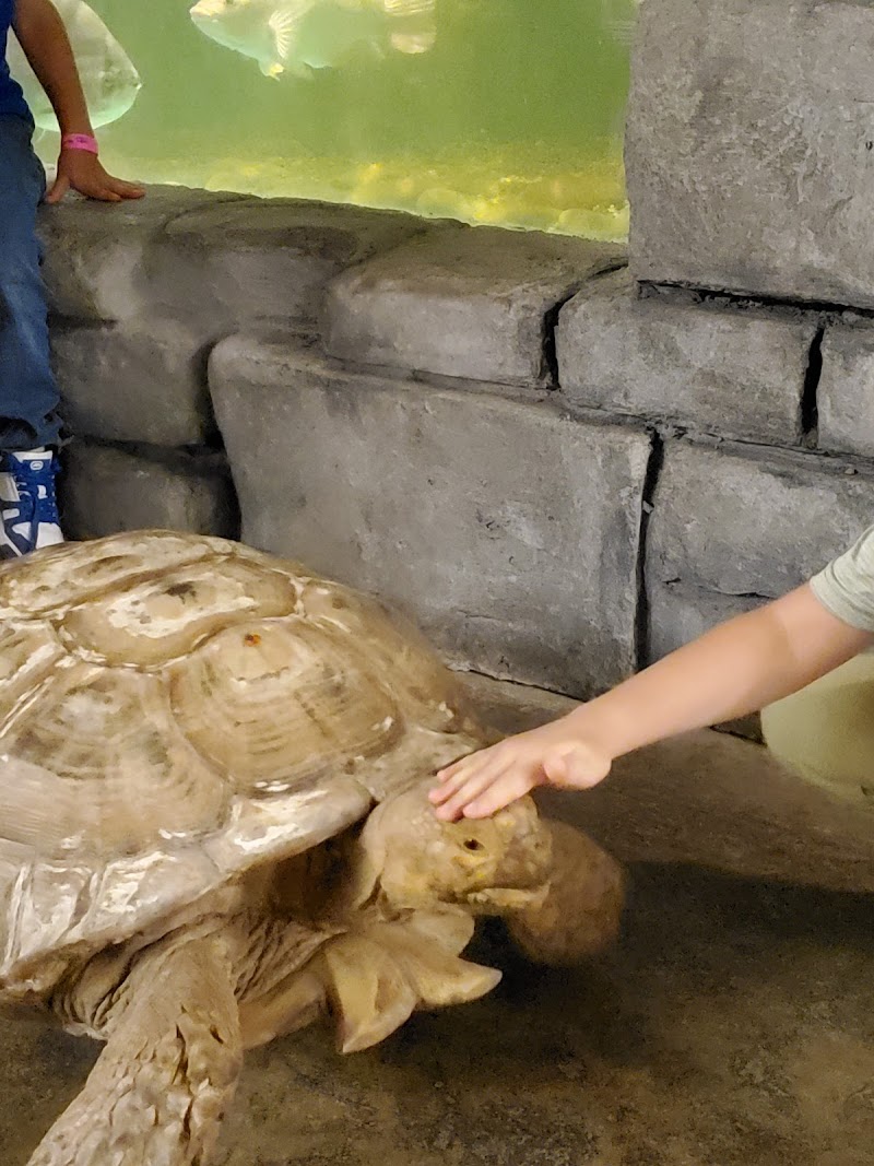 Jungle Reef - Photo 5