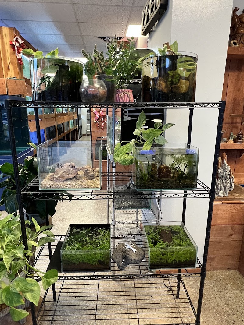 Coast Gem USA - Photo 2