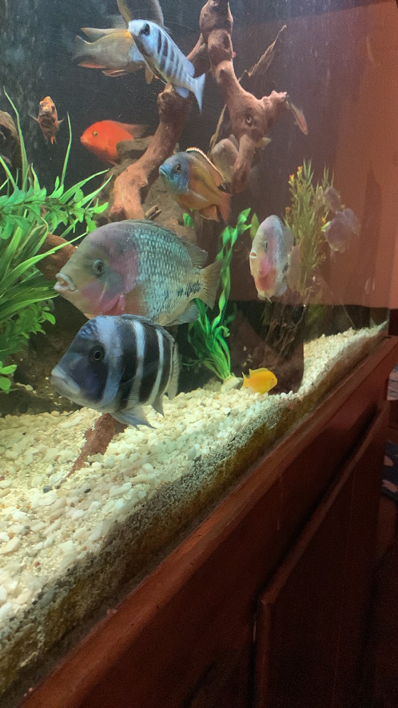 Coast Gem USA - Photo 4