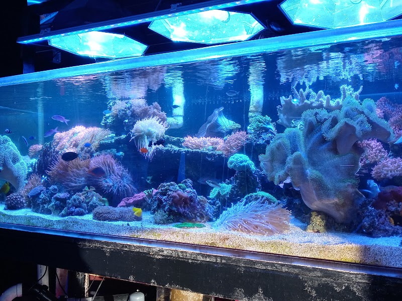 Robert's Reef - Photo 3