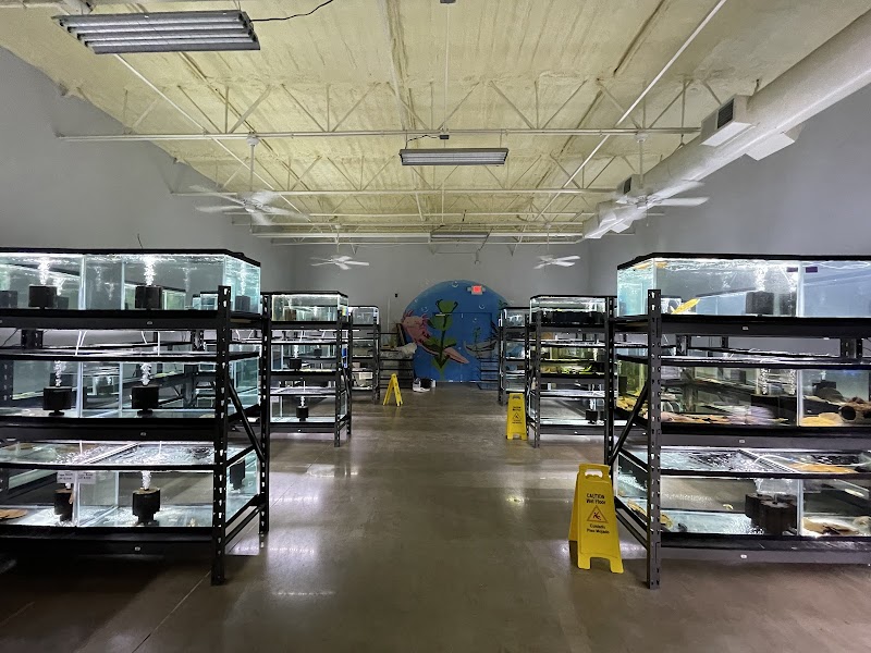 Axolotl Planet - Photo 3