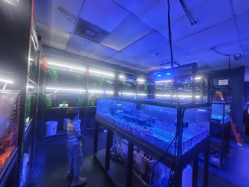 Houston Aquarium Warehouse - Photo 3