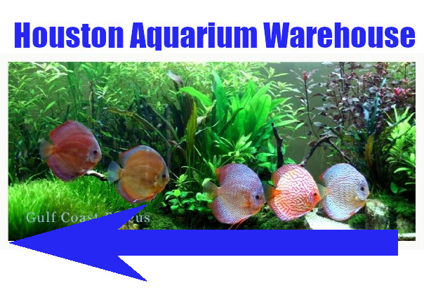 Houston Aquarium Warehouse - Photo 4