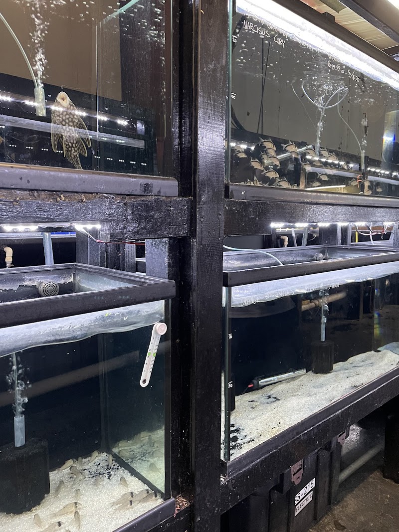 Houston Aquarium Warehouse - Photo 5