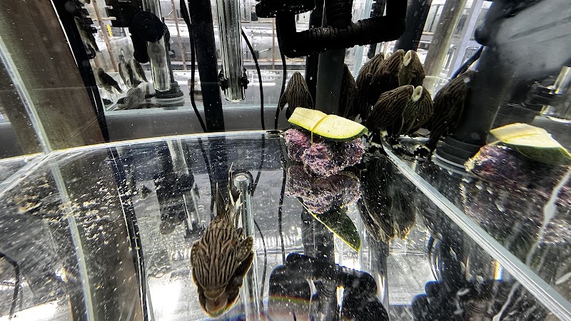 That Aquarium Place - Photo 2