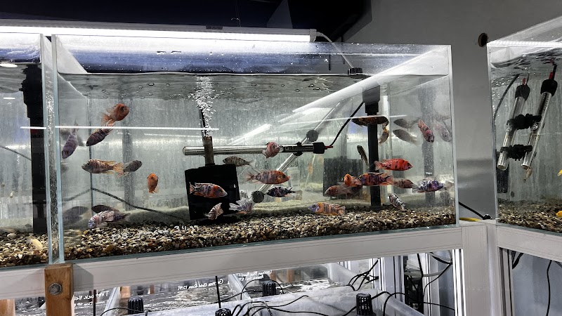 That Aquarium Place - Photo 3