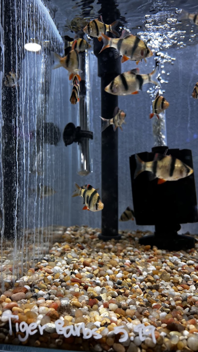 That Aquarium Place - Photo 4