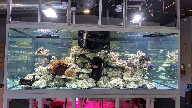 That Aquarium Place - Photo 5