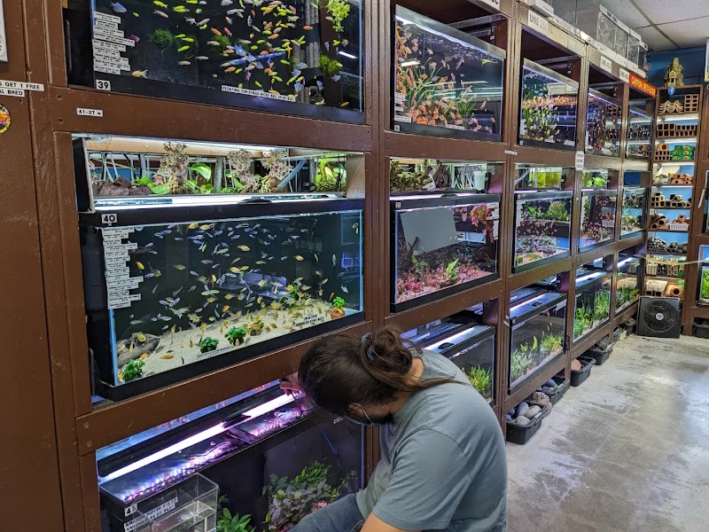 360 Aquatic - Photo 3