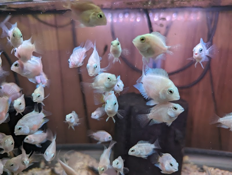 360 Aquatic - Photo 4