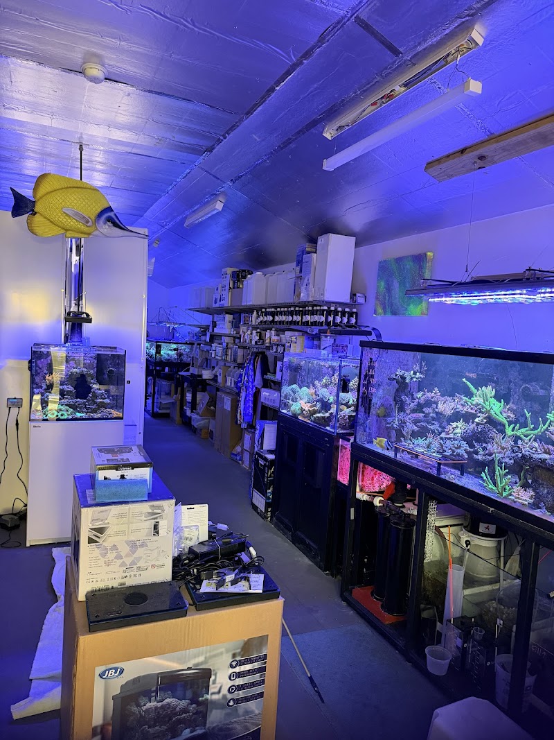 Seaworthy Aquatics - Photo 1