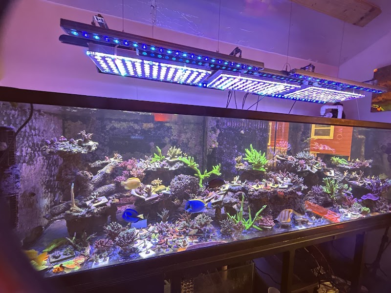 Seaworthy Aquatics - Photo 2