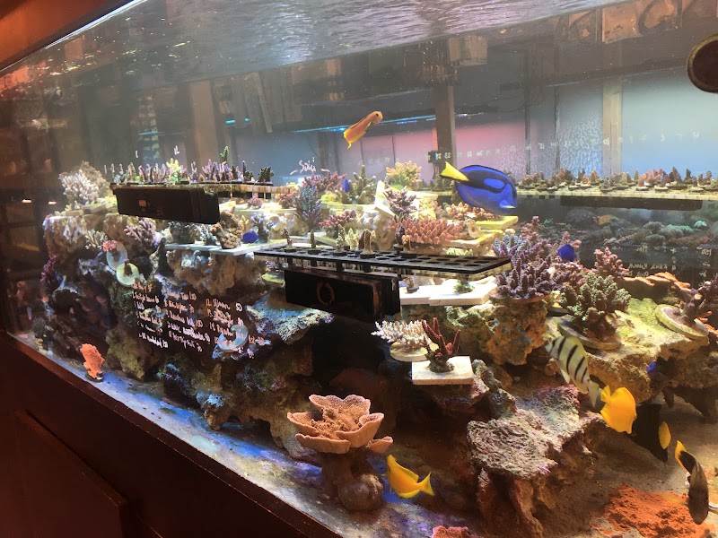 OceanLife Aquariums - Photo 5