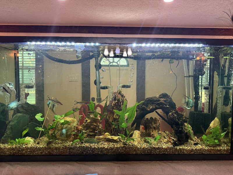 Infinite Aquatics - Photo 1