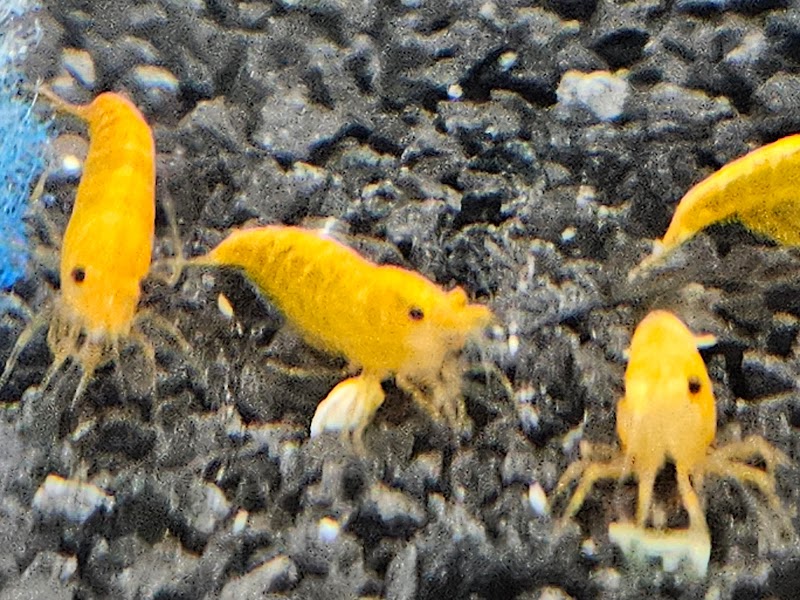 Infinite Aquatics - Photo 5