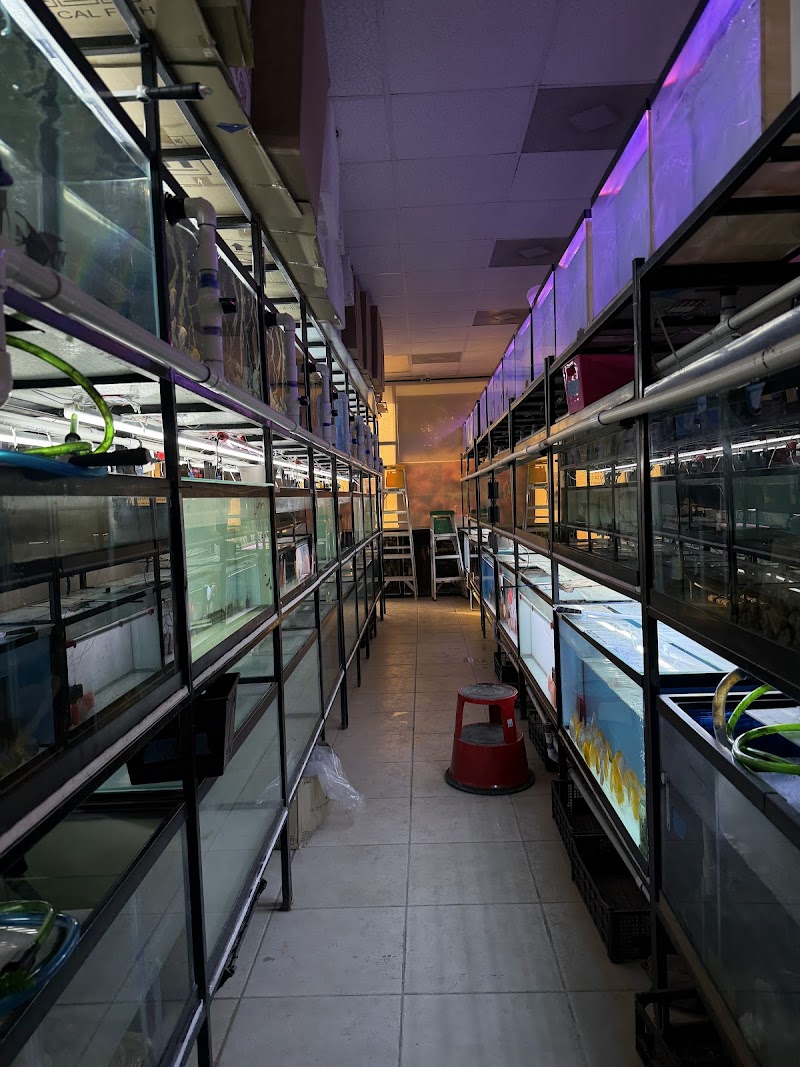 Texas Aqua—Aquarium Fish Store Houston TX - Photo 2