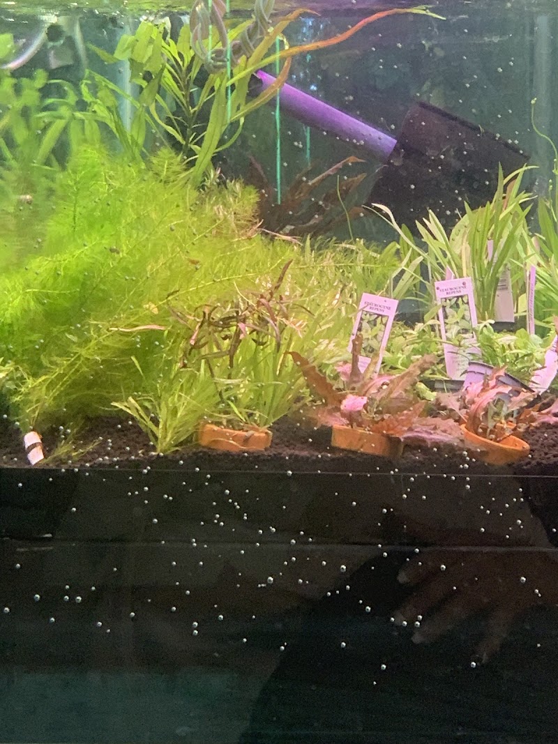 AquAlaska Aquariums - Photo 2