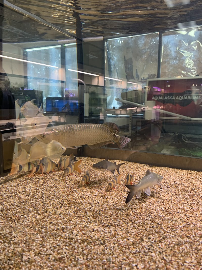 AquAlaska Aquariums - Photo 3