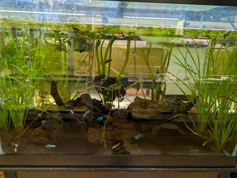 AquAlaska Aquariums - Photo 4