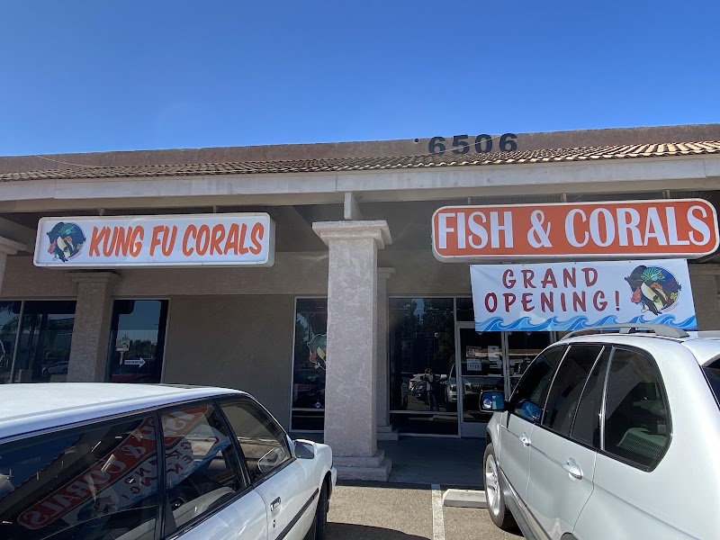 Kung Fu Corals - Photo 1