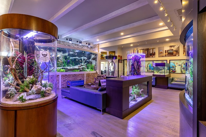 Fish Gallery | Aquarium Superstore - Photo 2